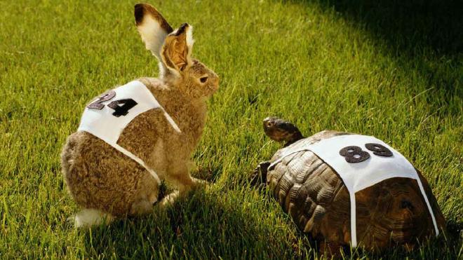 /17c83e83-rabbit-turtle-race_15869998815915135725.jpg